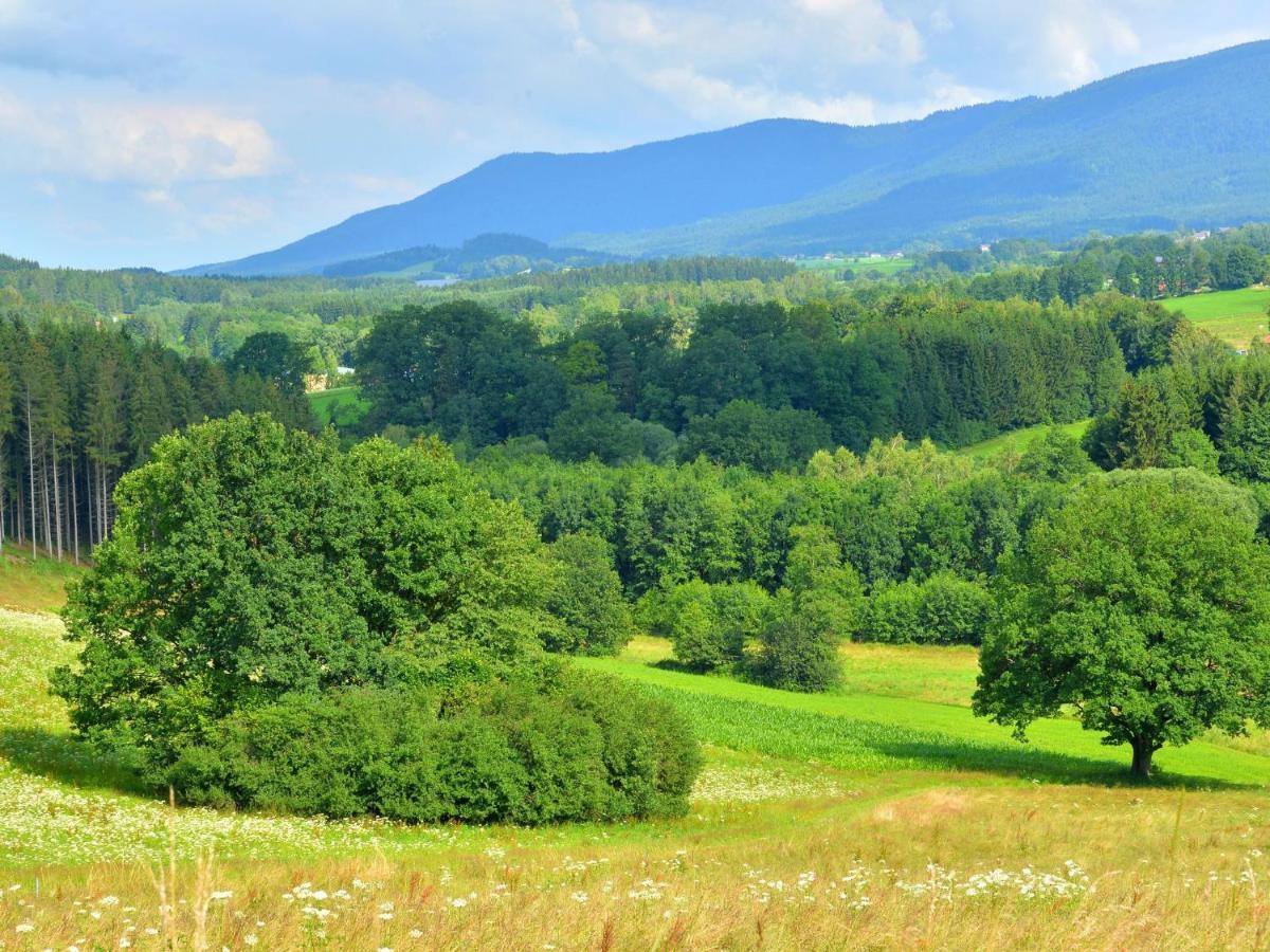 Comfort Apartment With Balcony In The Beautiful Bavarian Forest Drachselsried Cameră foto
